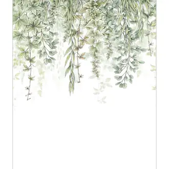 Garden 106317025
