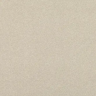 Clio Stone 7801-01