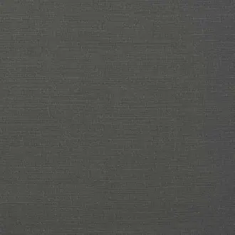 Carrera Pewter