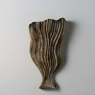 Camelio Wall Light Left TWL172L-BSE