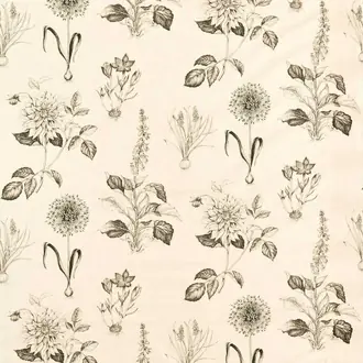 Roseraie F1738-02