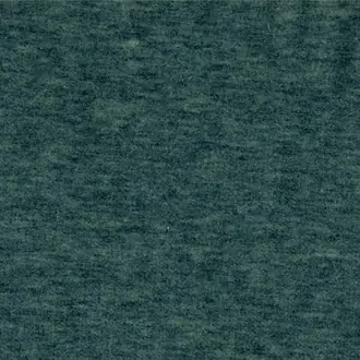 Fenice AC113-007