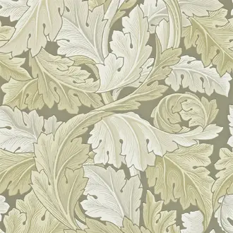 Acanthus 212552