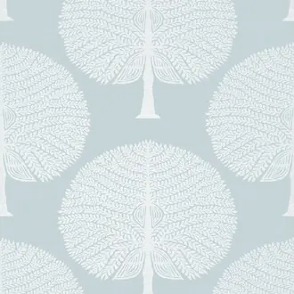 Mulberry Tree T10600