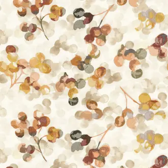 Lunaria 49830415