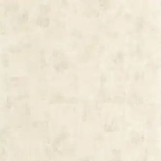 Brut 202771355