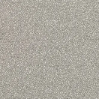 Clio Cobblestone 7801-02