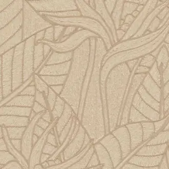 Strelitzia 60742