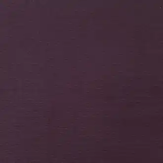 Salsa Raisin D1038 53 21