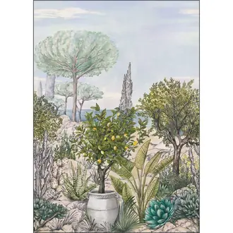 Baux De Provence Cal 105477703