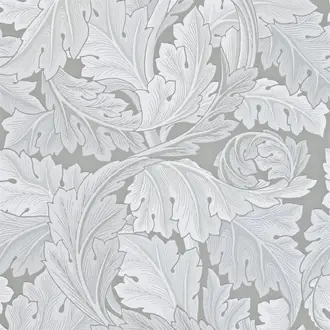 Acanthus 212553