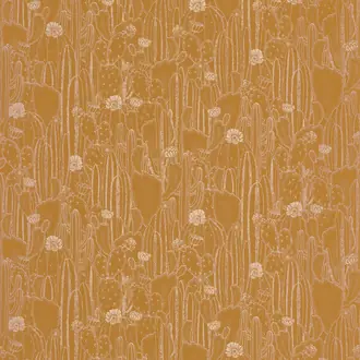 Botanica Cactaceae 85922376