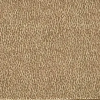 Lacuna 134035