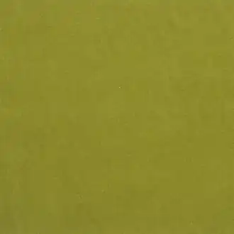 Cassia F2034-42