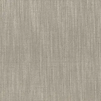 Tatami 26