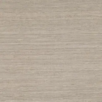 Palisade Spacedust Z574-03