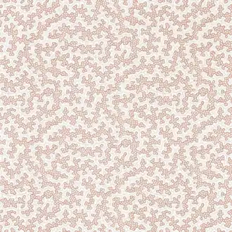 Truffle DABW217240