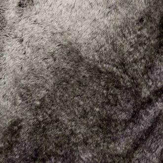 Accalia Wolf