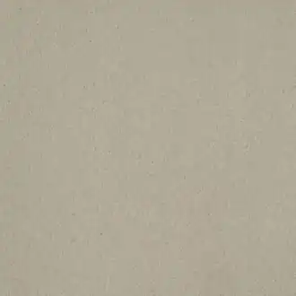 Suede Walls Pigeon