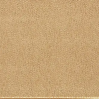 Lacuna 134036