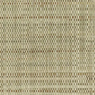 Arroyo Raffia 41203