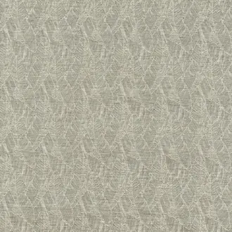 Eucalyptus 10735_91