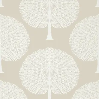 Mulberry Tree T10601