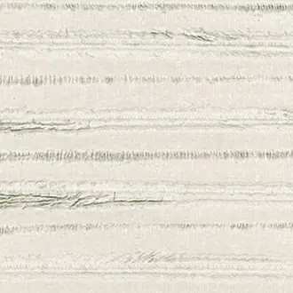 ABCG CV 102 22