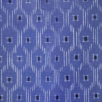 Kaori FP058001