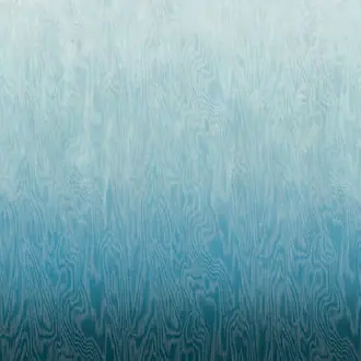 Moire DG4MOI1031-1033