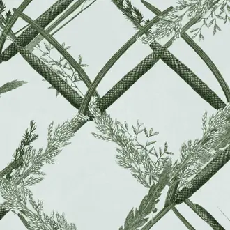 Ornamental Reed WP30162
