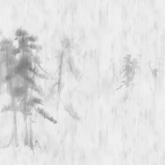 Asian Pines R16761