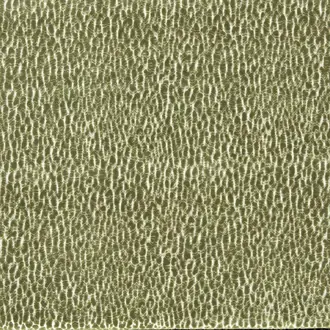 Lacuna 134038