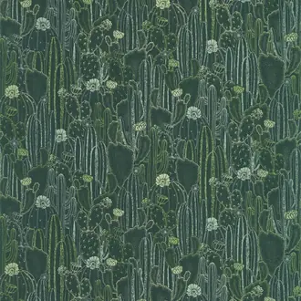 Botanica Cactaceae 85927429