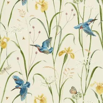 Kingfisher and Iris 226732