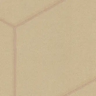 Double-Slit EN203