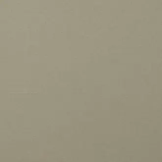 Carrera Putty