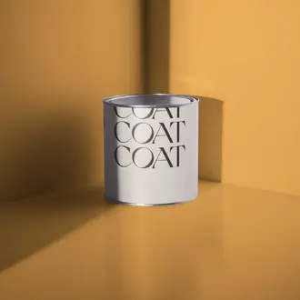House Points Paint