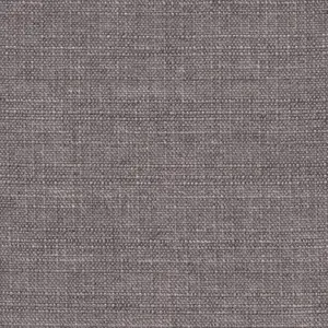 Sedge_010