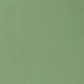 Ruskin 236867