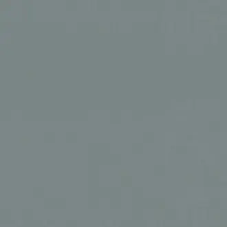 Speed FR 3609-685