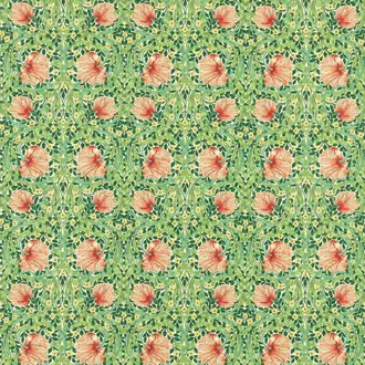 Pimpernel 227213