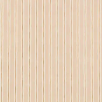 Nell Plaster