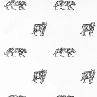 Eye Of The Tiger 101969916