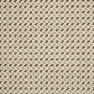Quantum Dove Grey