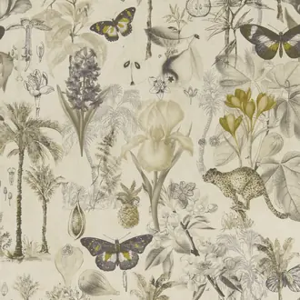 Botany F1297-01
