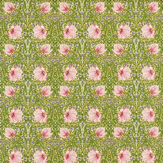 Pimpernel 227214