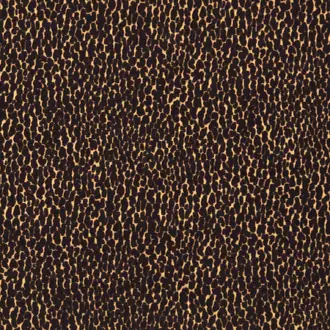 Lacuna 134040
