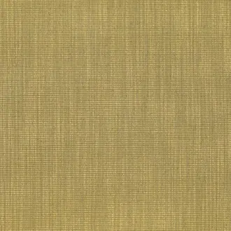 Tatami 05