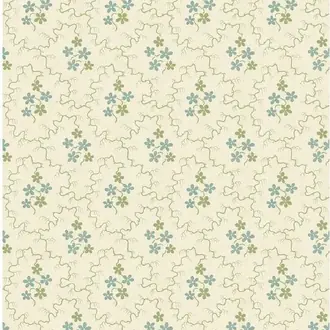 Posy BW45152-2